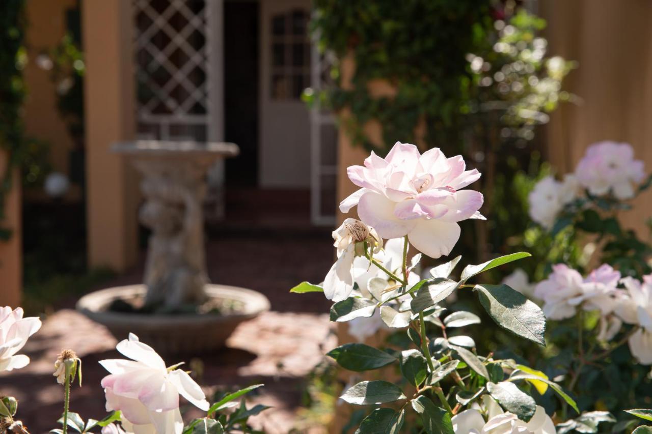 Roses And Pebbles B & B Guest House Клерксдорп Экстерьер фото
